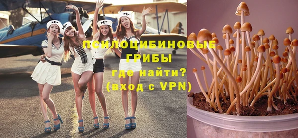 mix Сатка