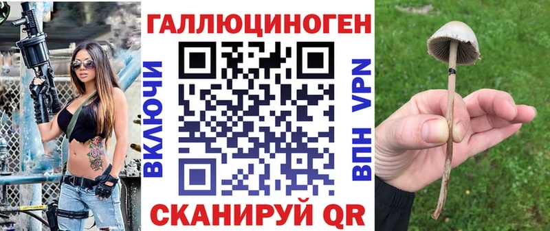 продажа наркотиков  маркетплейс какой сайт  Галлюциногенные грибы мицелий  Калач 